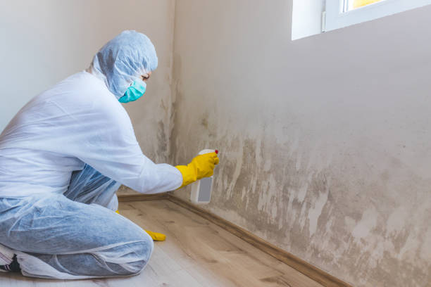 Mold Remediation specialist working in Chester